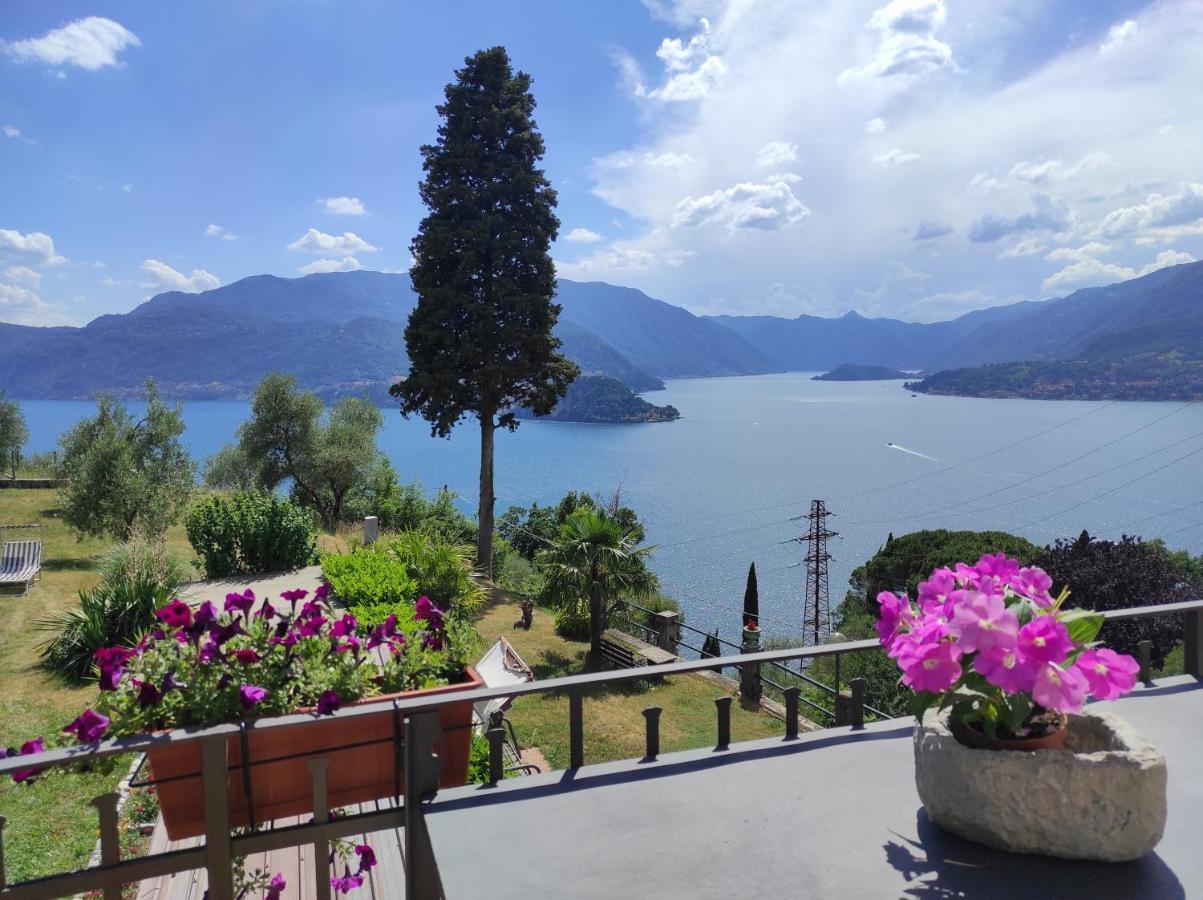 公寓 Varenna Castle Amazing Lake View 佩尔莱多